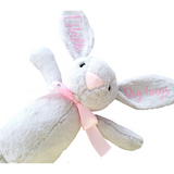 Plush Bunny